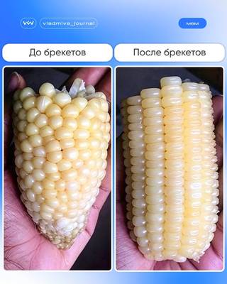 Мем